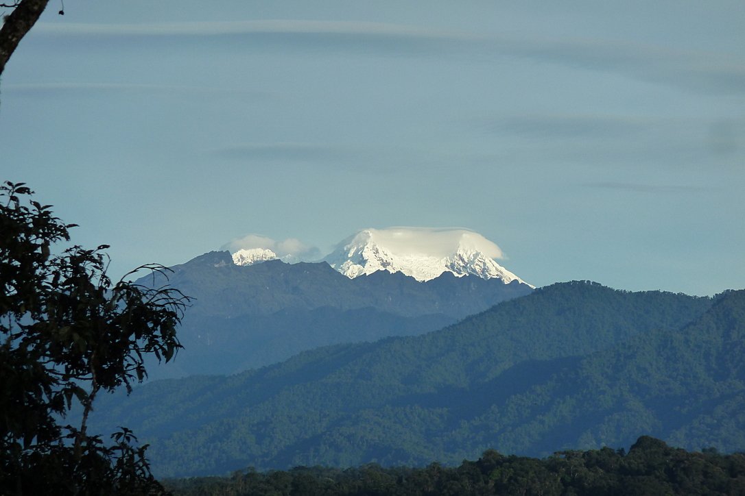 Photo of a lush green, mountainous forest. In the background is a glacial-covered summit.