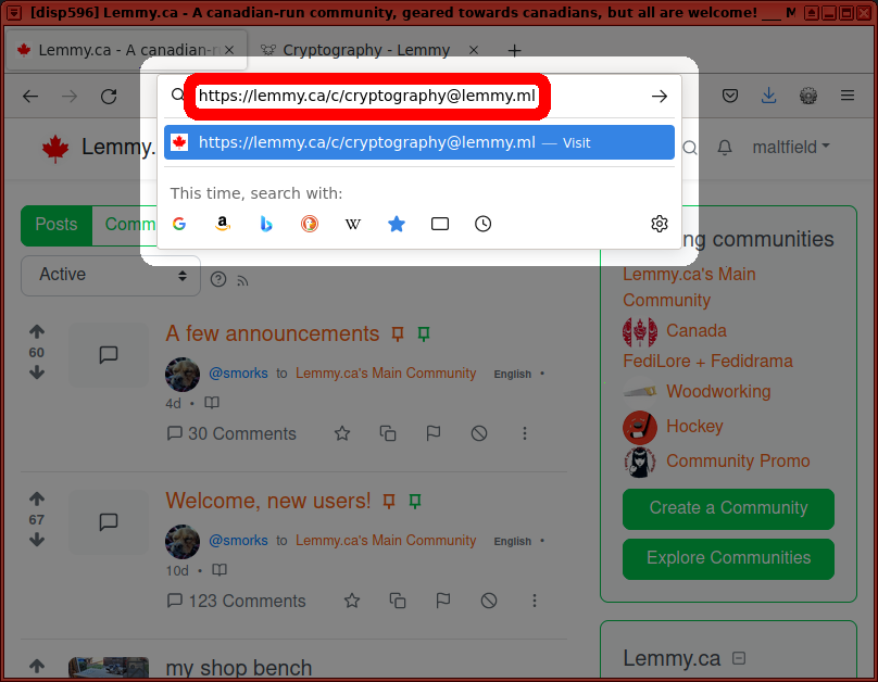 Screenshot of Firefox with 'https://lemmy.ca/c/cryptography@lemmy.ml' typed into the address bar